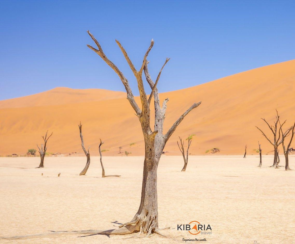 Kibaria Travel - Discover Namibia’s Desert Magic & Coastal Thrills10